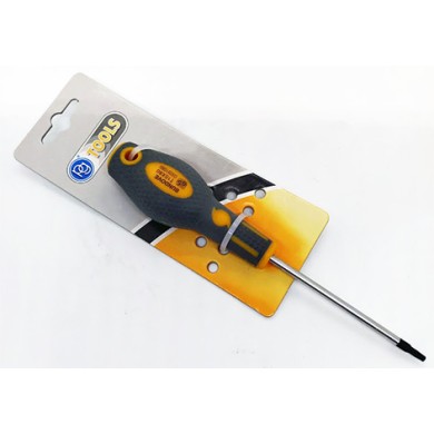 ΚΑΤΣΑΒΙΔΙ TORX T30X125